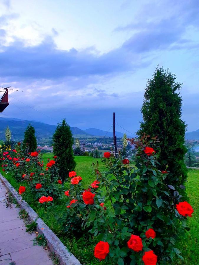 Guest House Ijevan'S Garden Exterior foto