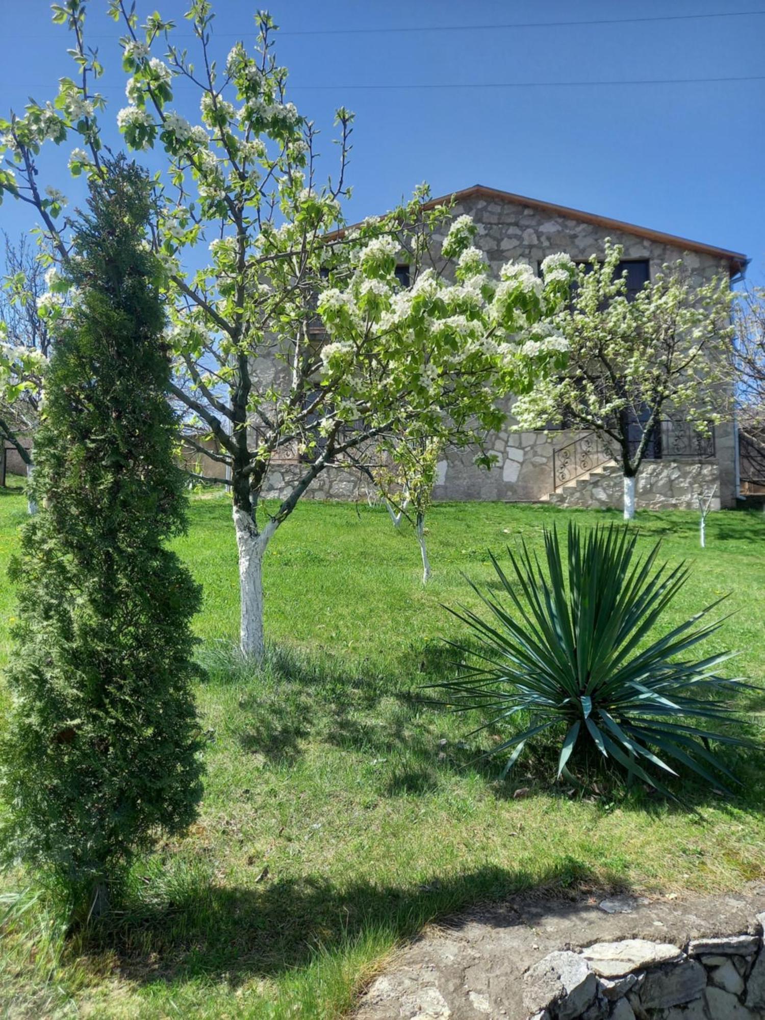 Guest House Ijevan'S Garden Exterior foto