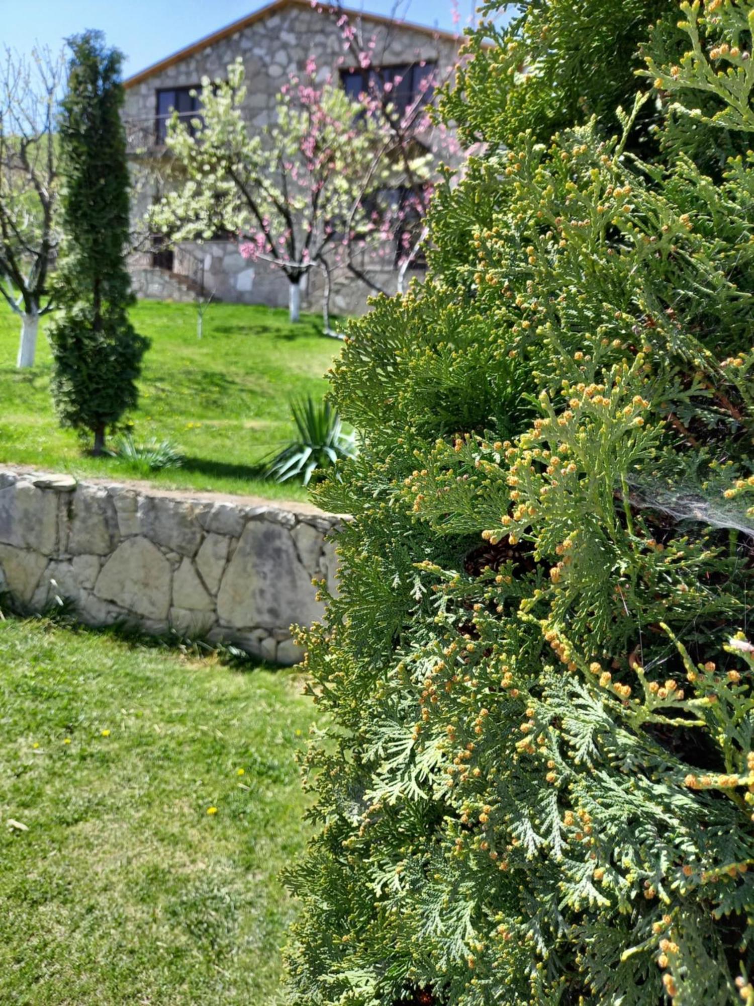Guest House Ijevan'S Garden Exterior foto