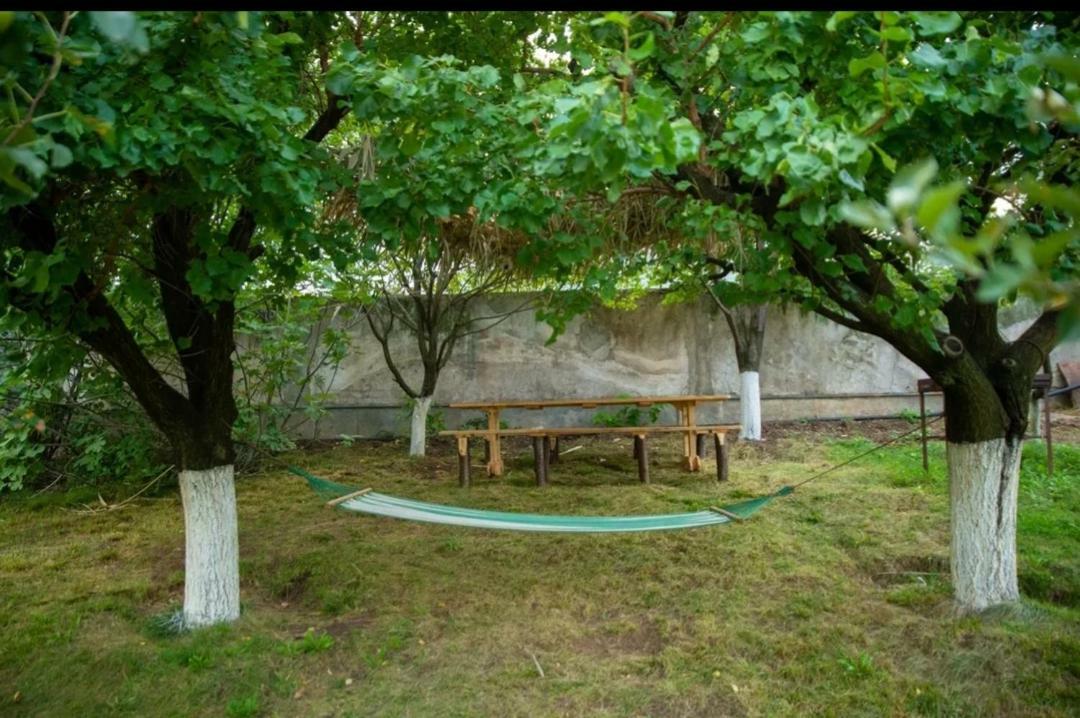 Guest House Ijevan'S Garden Exterior foto